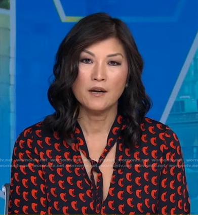 Juju Chang's printed tie neck blouse on Good Morning America