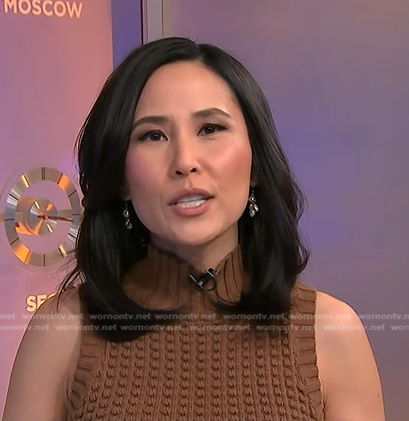 Vicky's brown turtleneck sleeveless sweater on NBC News Daily