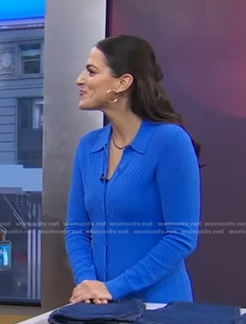 Janelle Cohen's blue knit shirtdress on Good Morning America