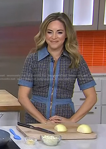 Dina Deleasa's plaid zip front dress on Today