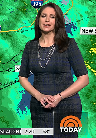 Maria Larosa's plaid sheath dress by Today