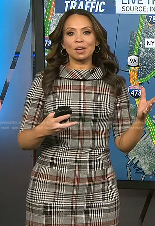 Adelle's grey plaid dress on Today