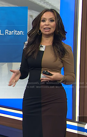 Adelle's black and brown colorblock dress on Today