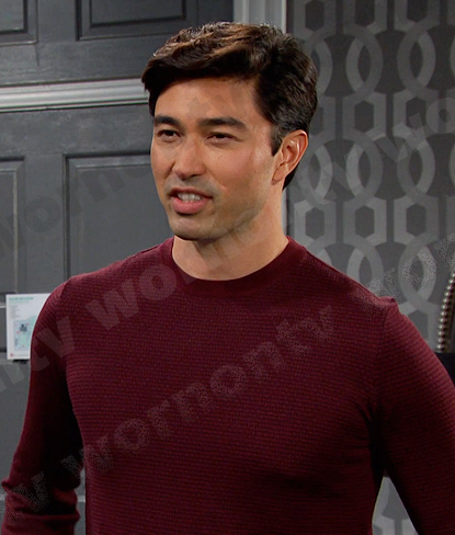 Li Shin's burgundy print sweater on Days of our Lives