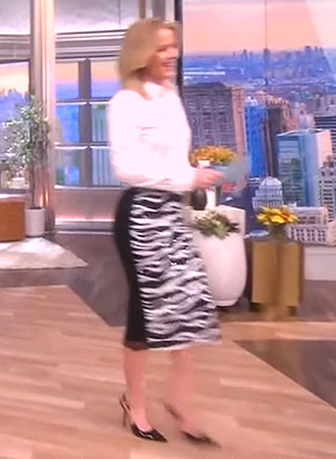 Sara's zebra stripe metallic skirt on The View