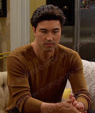 Li Shin's camel ribbed sweater on Days of our Lives