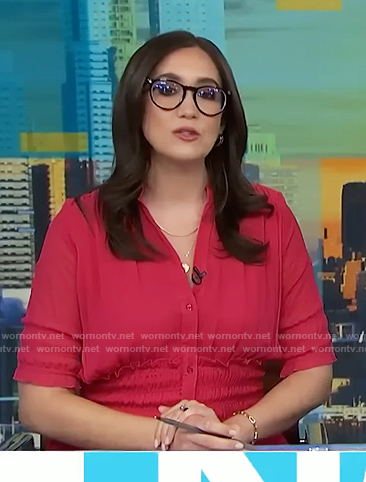 Savannah's pink smocked waist dress on NBC News Daily