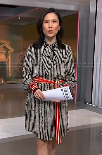 Vicky's black striped tie neck dress on NBC News Daily