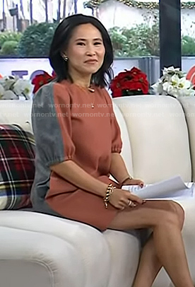 Vicky's pink puff sleeve shift dress on Today
