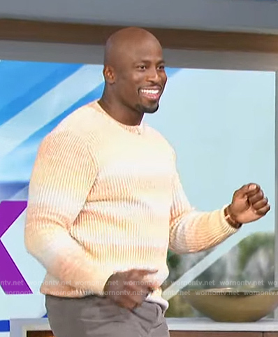 Akbar's orange stripe ribbed sweater on The Talk
