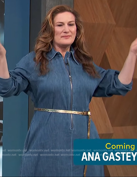 Ana Gasteyer's blue denim zip dress on Access Hollywood