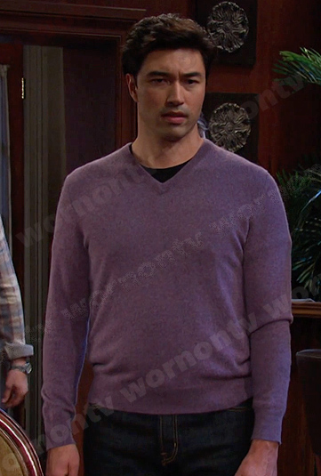 Li Shin's purple v-neck sweater on Days of our Lives
