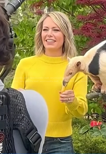 Dylan's yellow sweater on Today