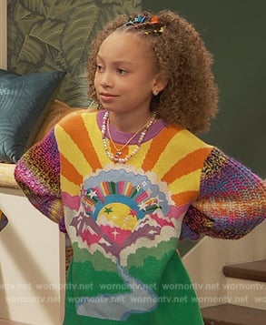 Neil's multicolored embroidered sweater on Ravens Home