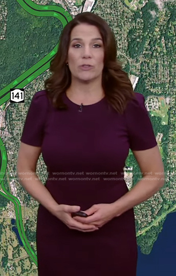 Heather's purple short sleeve sheath dress on Good Morning America