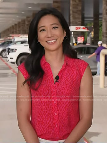 Kathy Park's pink printed button down shirt on Today