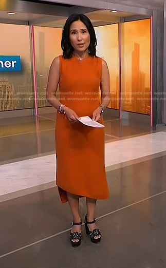 vicky's orange asymmetric dress on NBC News Daily