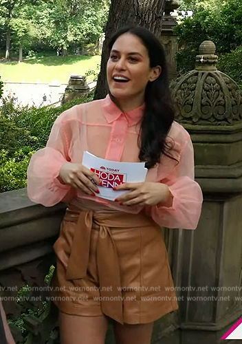 Donna Farizan's pink tulle top and leather shorts on Today