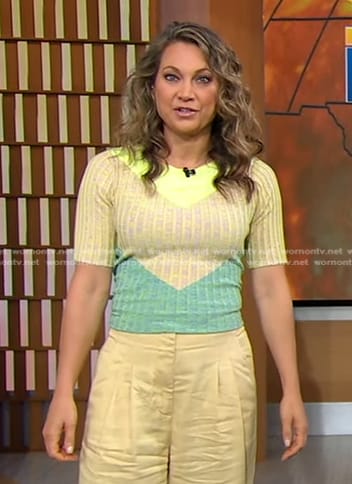 Ginger's colorblock ribbed top on Good Morning America