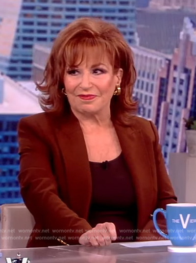 Joy's brown double breasted blazer on The View