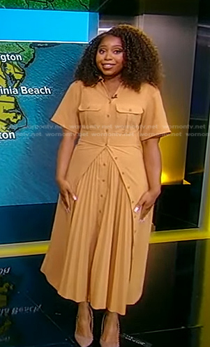Somara Theodore's beige pleated dress on Good Morning America