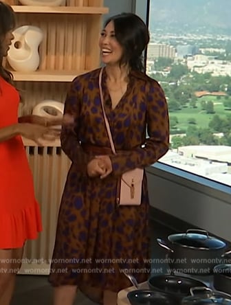 Diane Mizota's brown animal print shirtdress on Access Hollywood