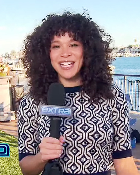 Megan Rytes' geometric short sleeve sweater on Extra