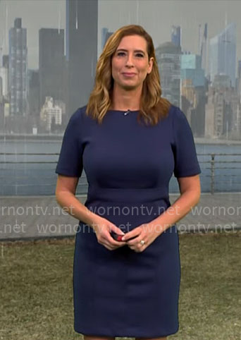 Stephanie Abrams' navy short sleeved dress on CBS Mornings