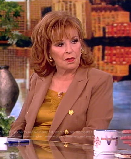 Joy's brown double breasted blazer on The View