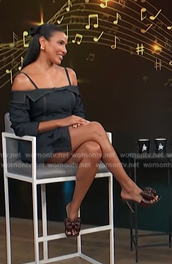 Julissa Bermudez's denim dress on Access Hollywood