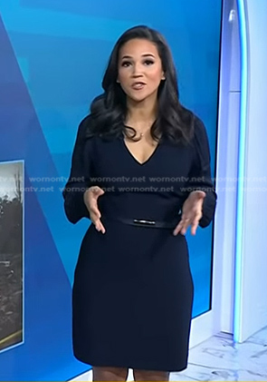 Laura's navy v-neck belted dress on Today