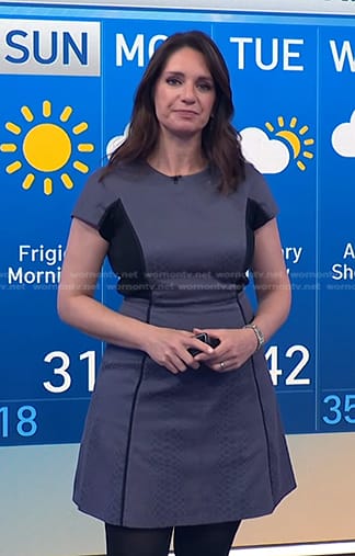 Maria's grey colorblock flare dress on Today