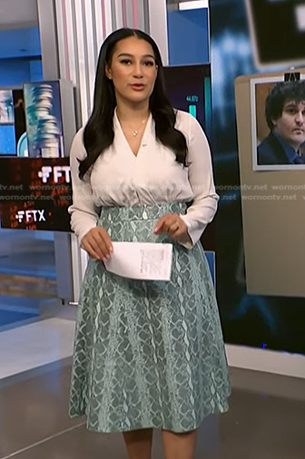 Morgan's green snakeskin print skirt on NBC News Daily