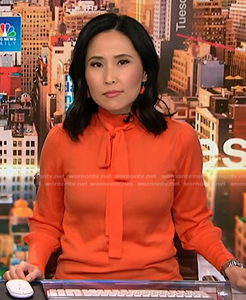 Vicky's orange tie neck top on NBC News Daily