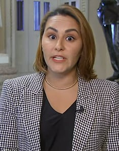 Ali Vitali's houndstooth print blazer on NBC News Daily
