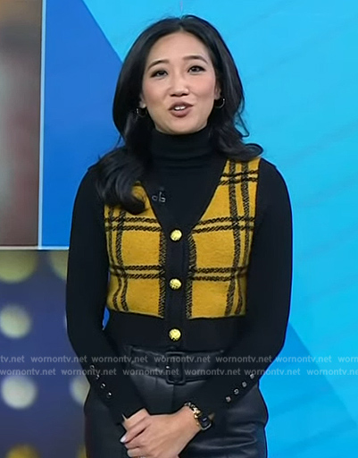 Kathy Park's yellow plaid vest and black sweater on Today