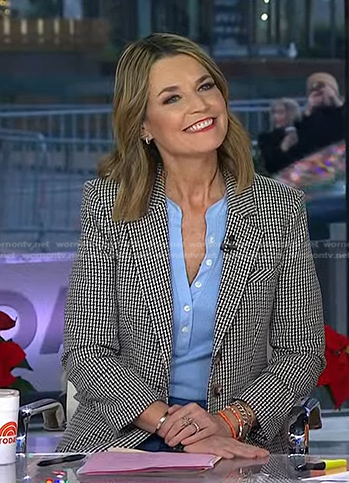 Savannah's light blue top and houndstooth blazer  on Today