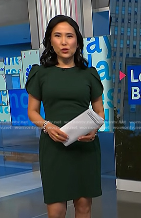Vicky's green short sleeve dress on NBC News Daily