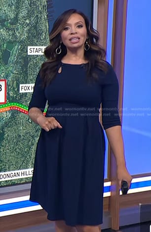 Adelle's navy keyhole pleated dress on Today