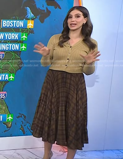 Angie Lassman's plaid skirt and ribbed cardigan on Today