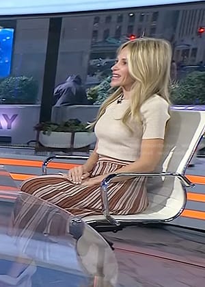 Dr. Marnie Nussbaum's metallic striped skirt on Today