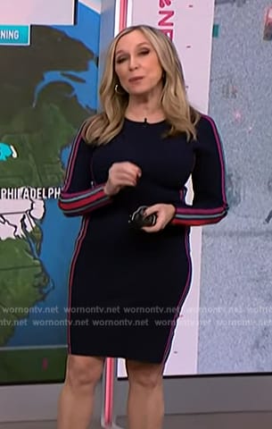 Michelle Grossmann's blue side stripe dress on NBC News Daily