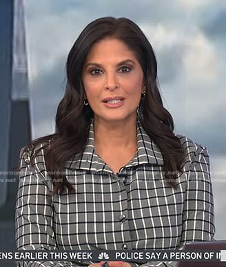 Darlene's grey plaid blouse on Today