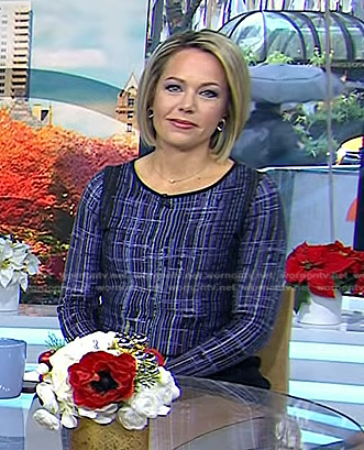 Dylan's blue plaid top on Today