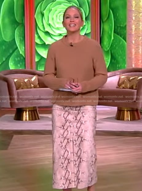 Sara's snake skin print leather skirt on The View
