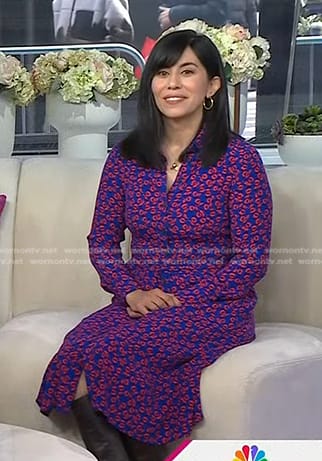 Cristina Henríquez's blue floral shirtdress on Today
