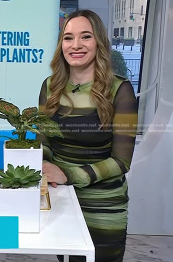Lexie Sachs's green striped mesh dress on Today