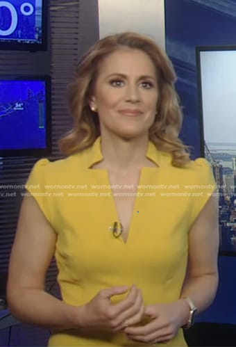 Raegan Medgie's yellow cap sleeve dress on Good Morning America