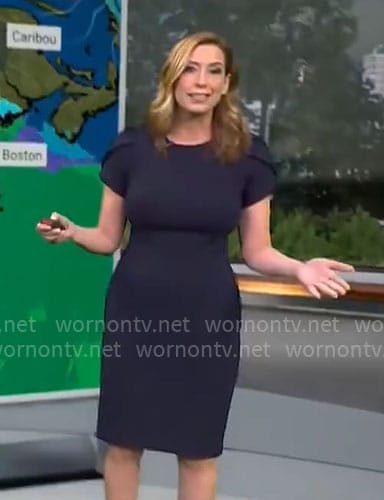 Stephanie Abrams' navy sheath dress on CBS Mornings