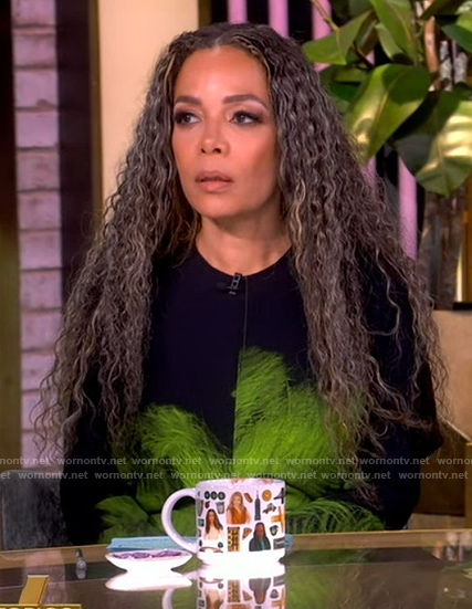 Sunny's black and green feather print dress on The View